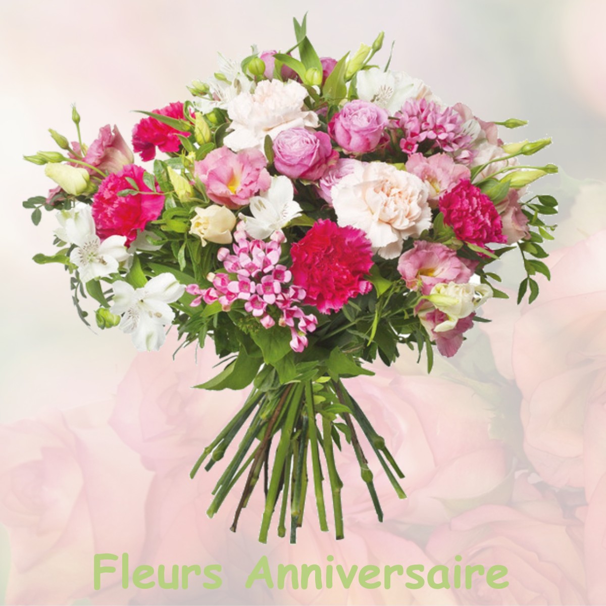 fleurs anniversaire VIELS-MAISONS